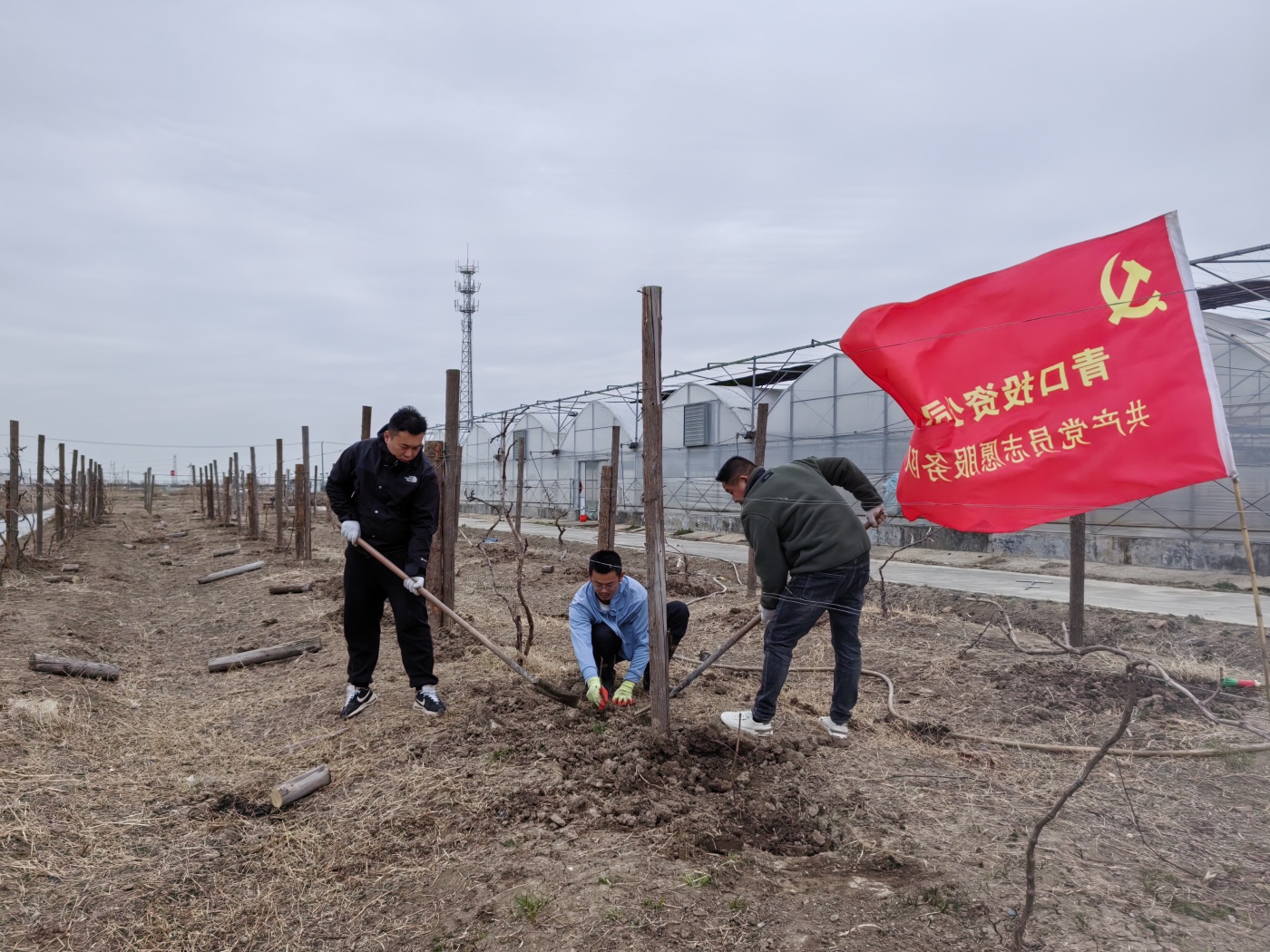 倉(cāng)儲(chǔ)2_副本