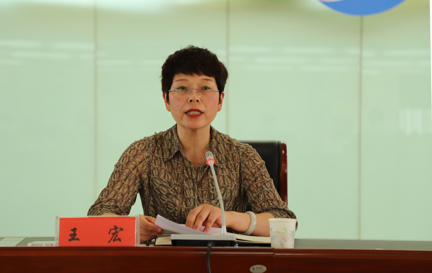 王宏.jpg 王宏.jpg